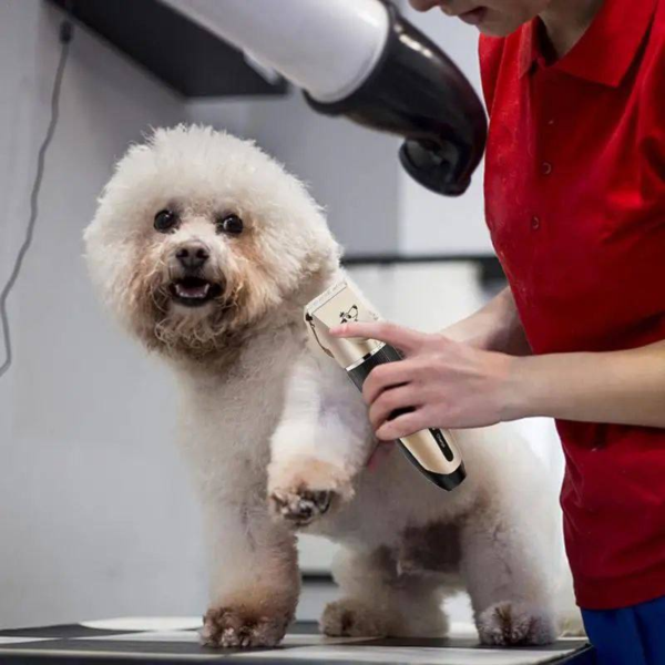 Máquina Cortadora de Pelo para Mascotas – Kit Completo de Aseo y Cuidado Profesional - Imagen 2